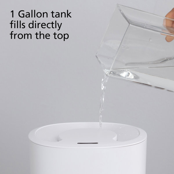 Safety 1st Smart Humidifier & Reviews Wayfair